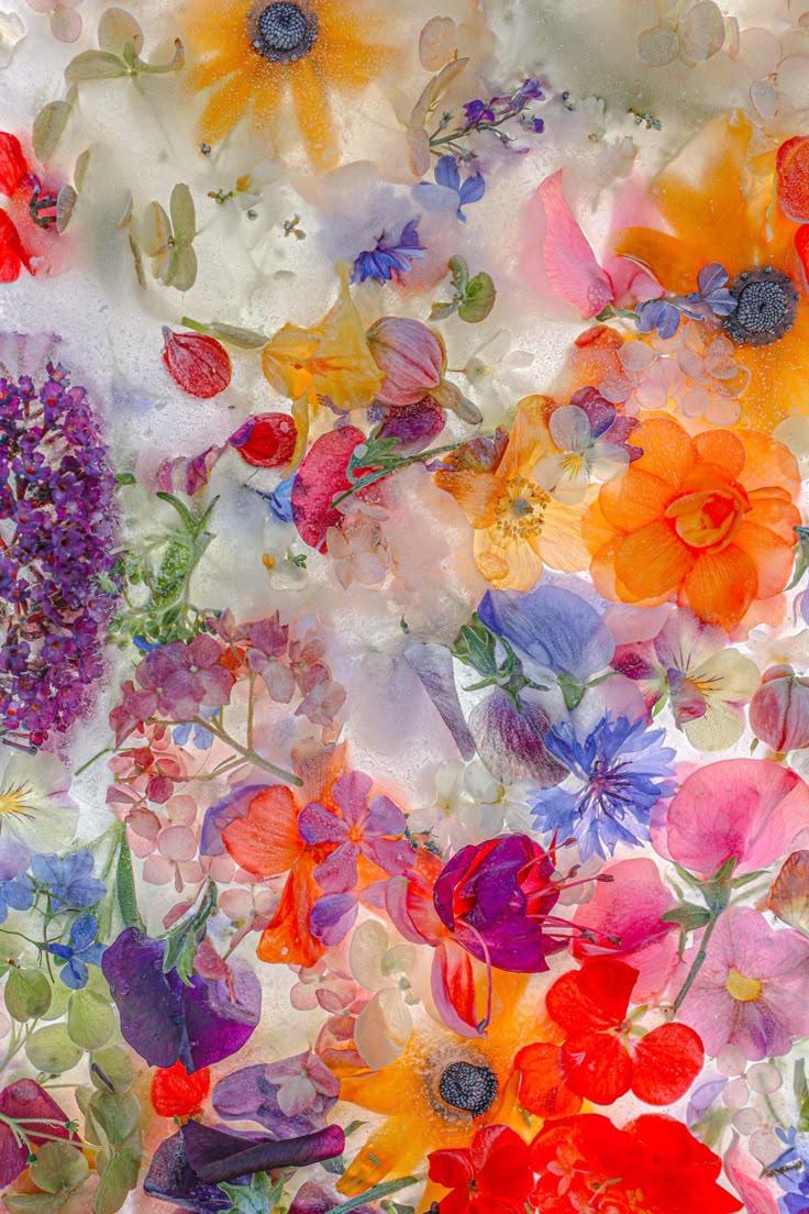 Whisper of Dawn Petal Ensemble